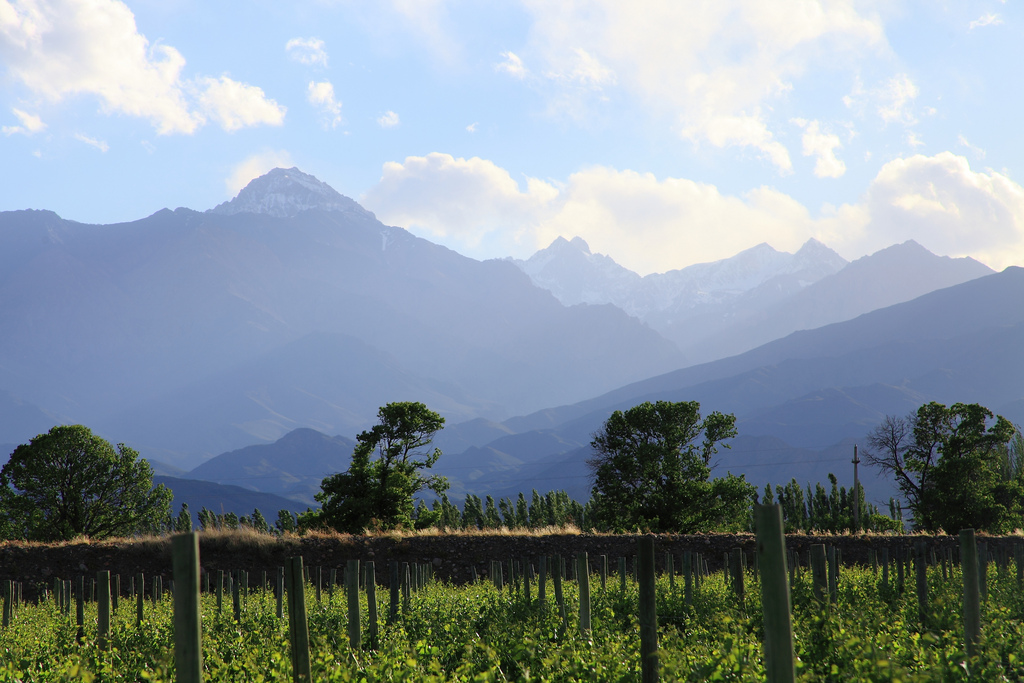 Argentina Wine country vista