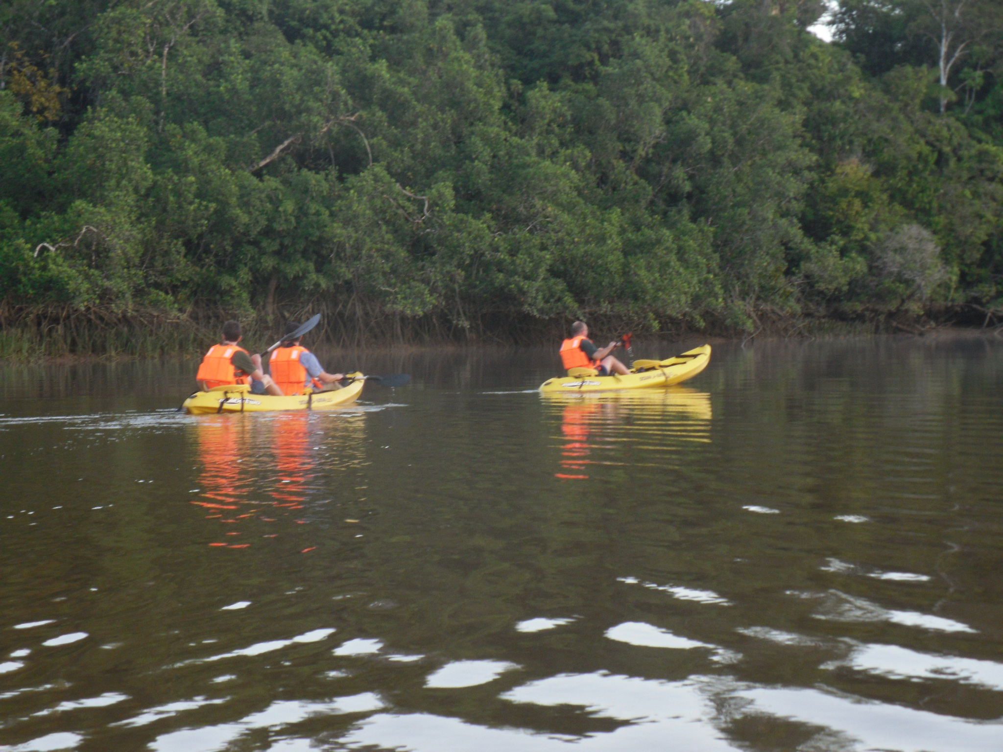 Kayaking the Essequibo River Guyana