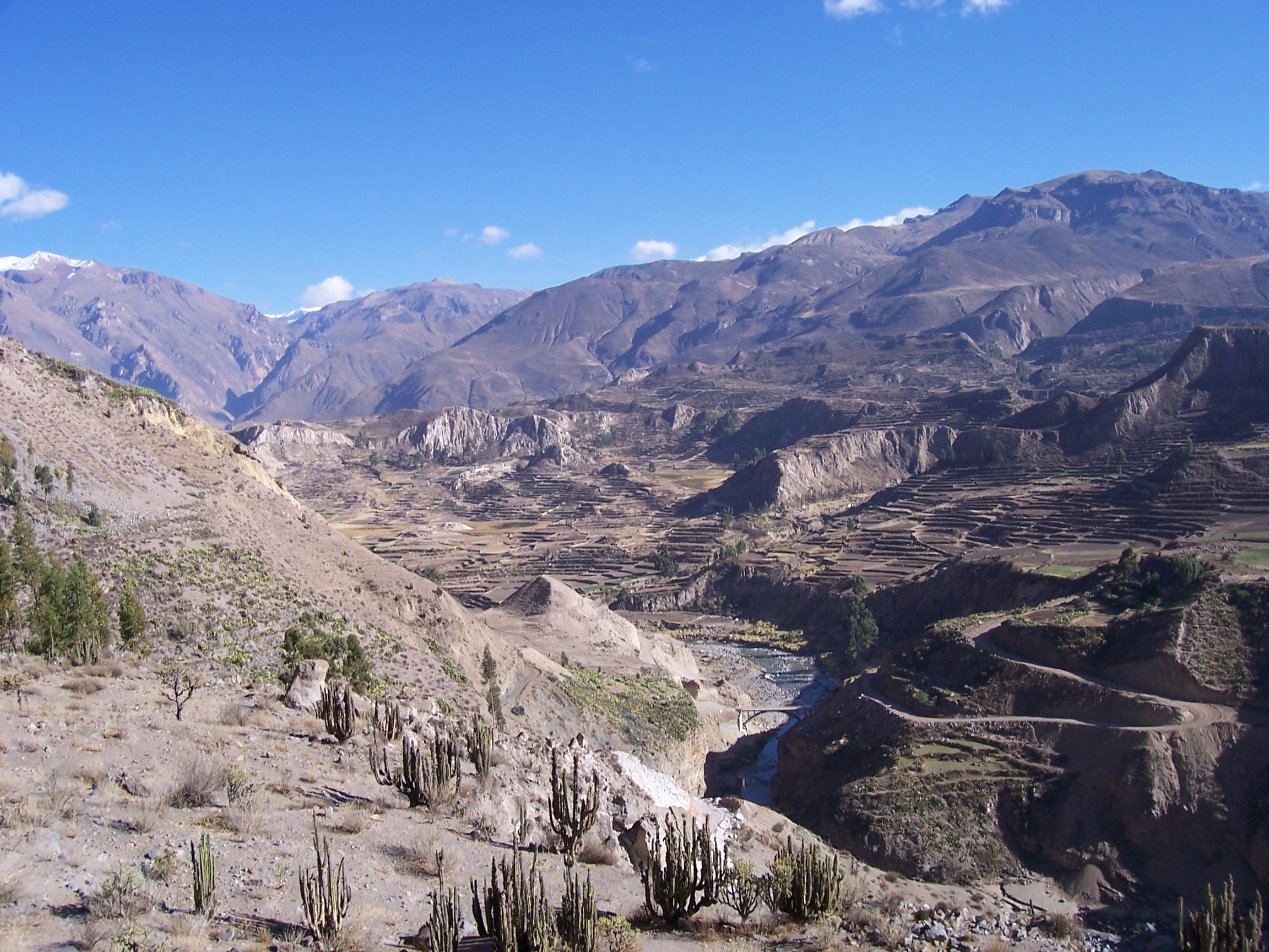 Colca Canyon of Peru