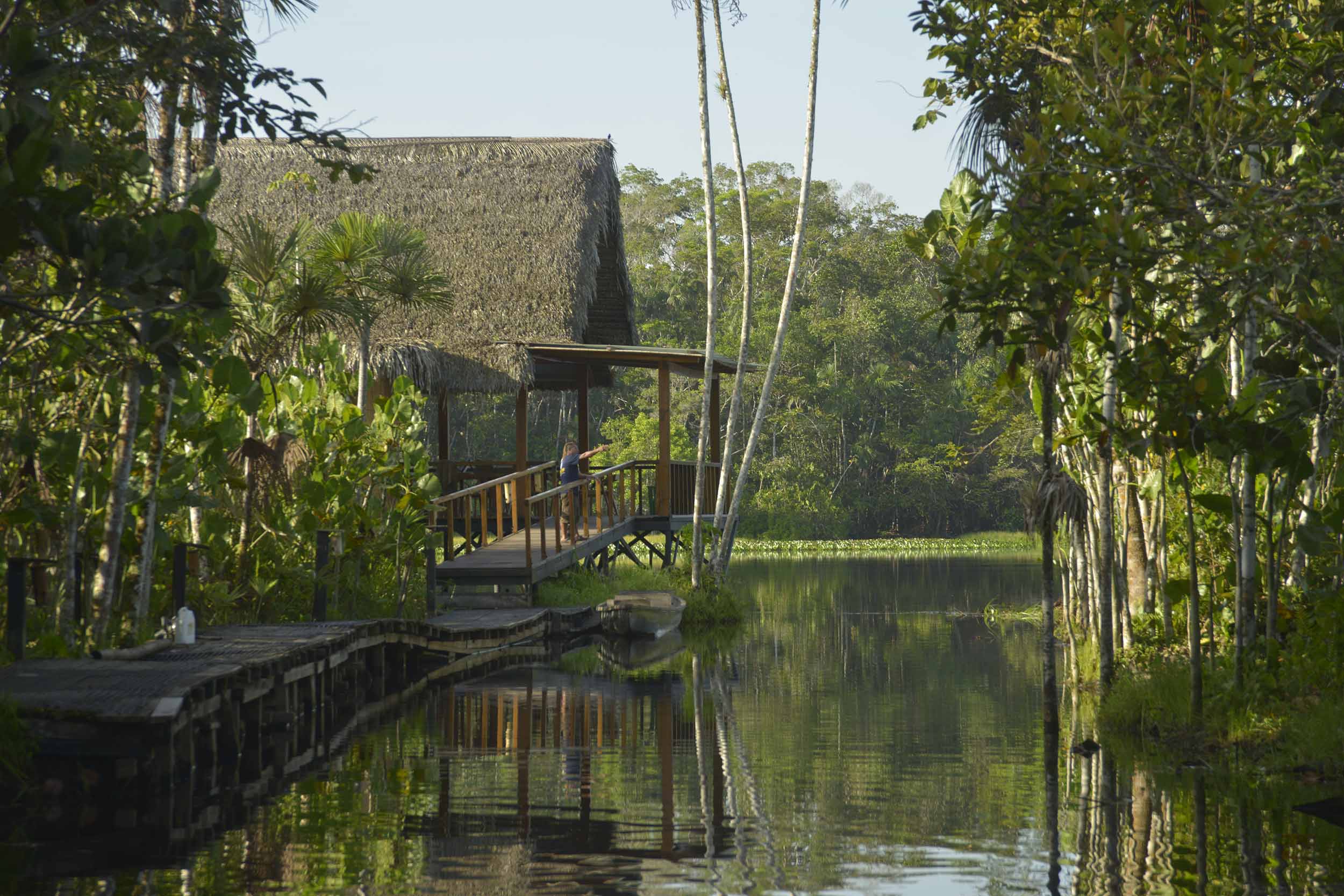 Sacha Lodge Amazon Ecuador