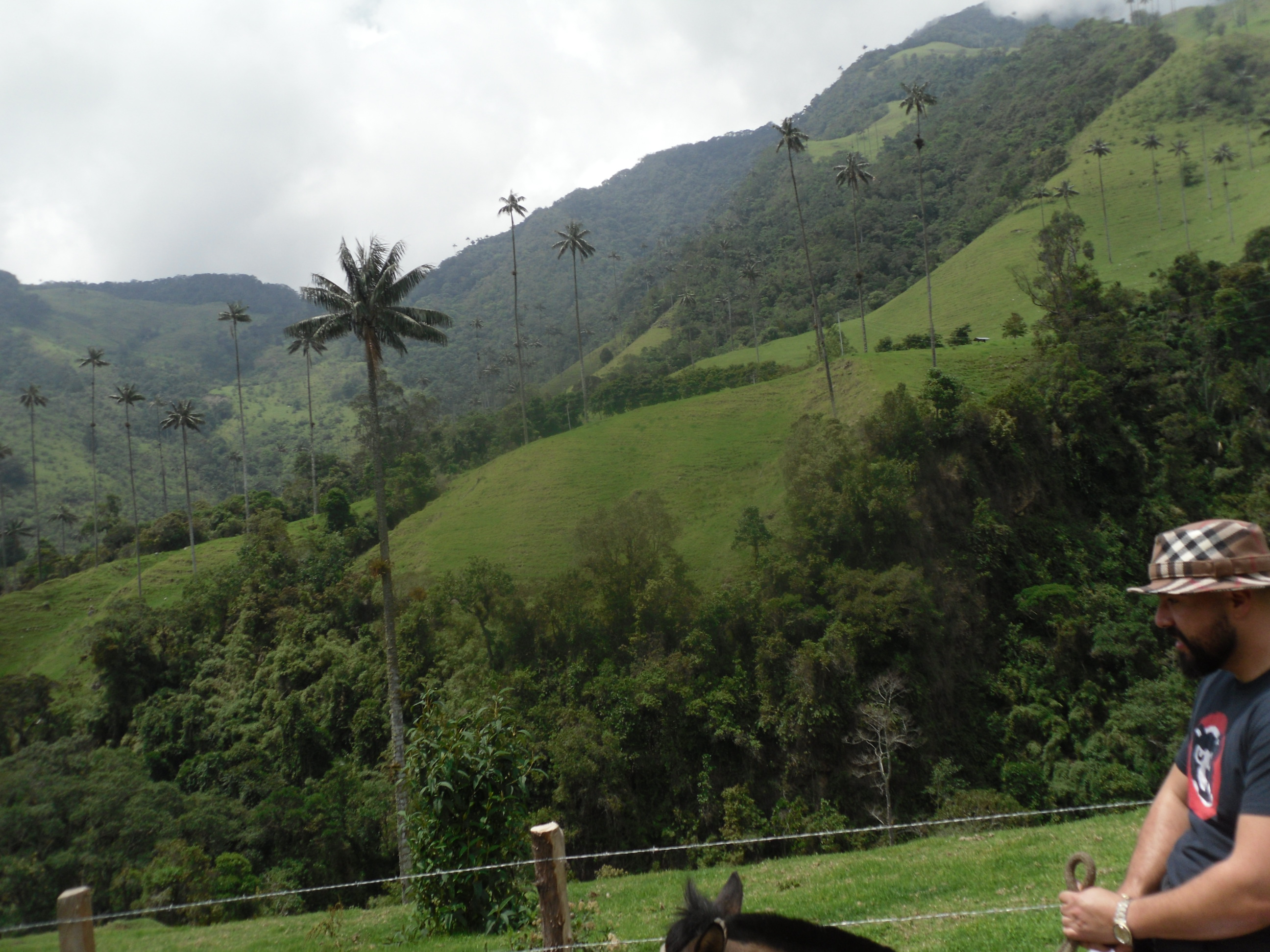 Cocora Valley Colombia Coffee Country