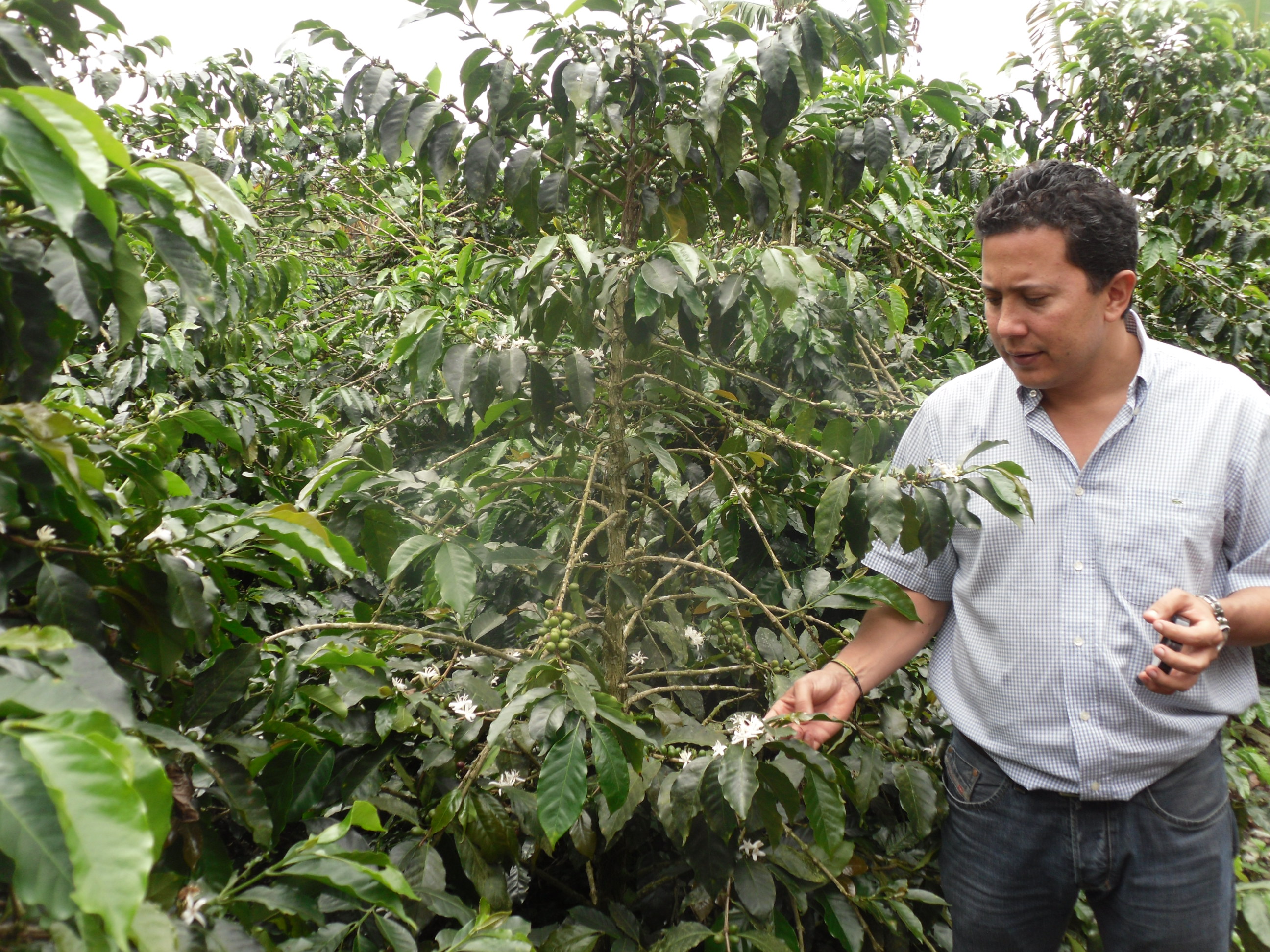 Colombia Coffee Country tour