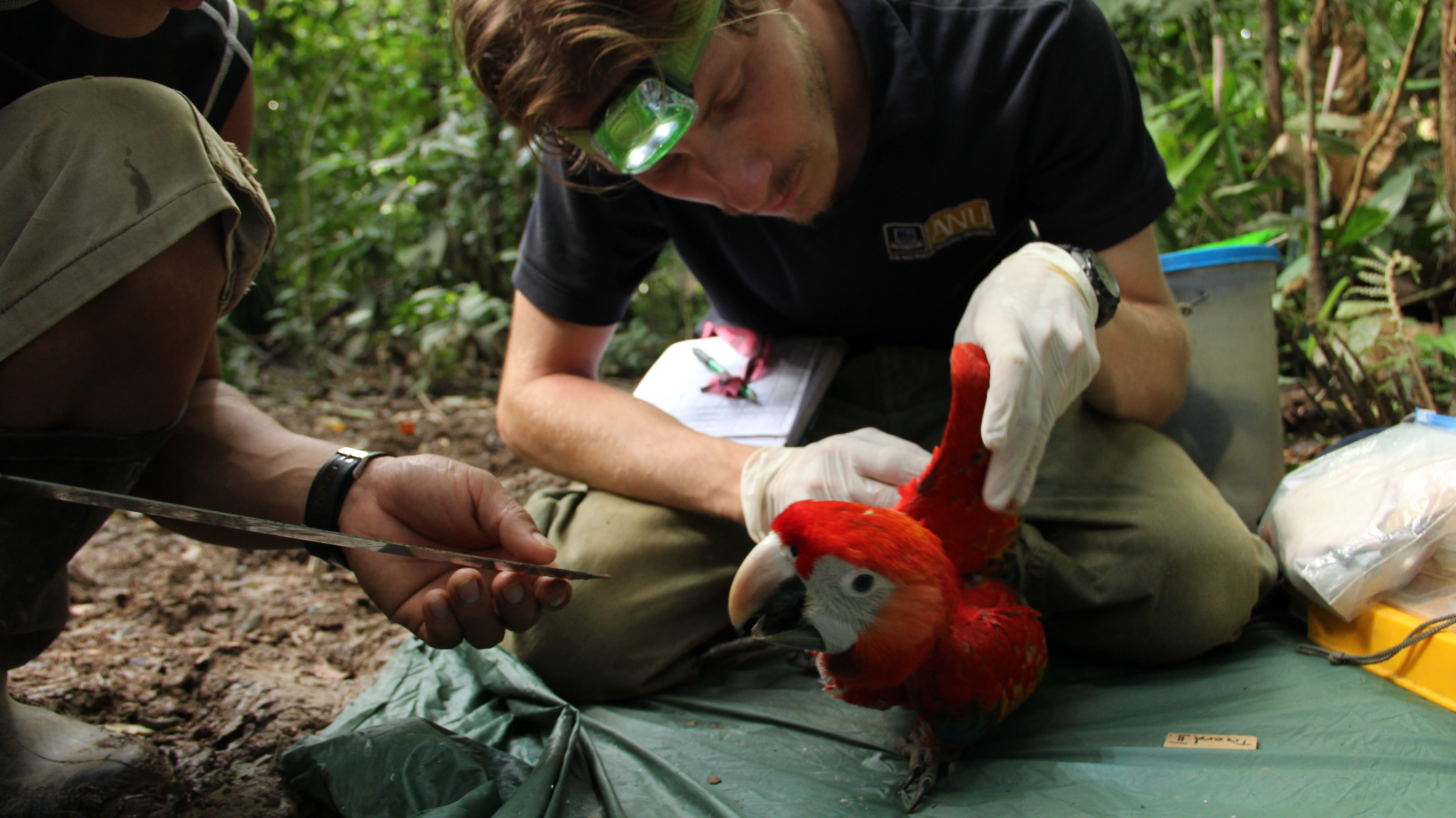 Tambopata Macaw Research Station lecture